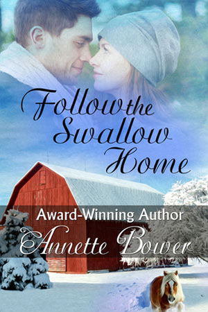 Annette Bower's Follow the Swallow Home